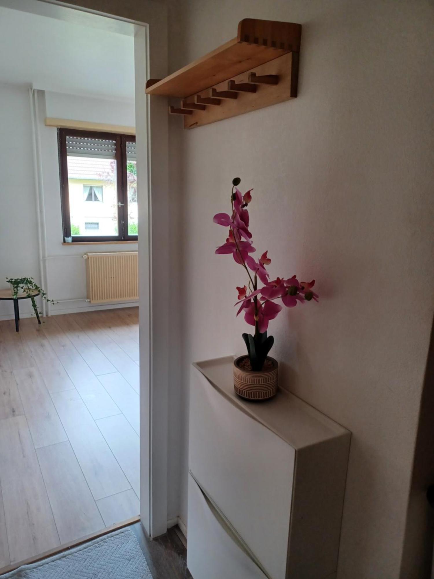 Studio Rdc Calme Avec Parking Ferme Pres Autoroute Et Tram C Miluza Zewnętrze zdjęcie