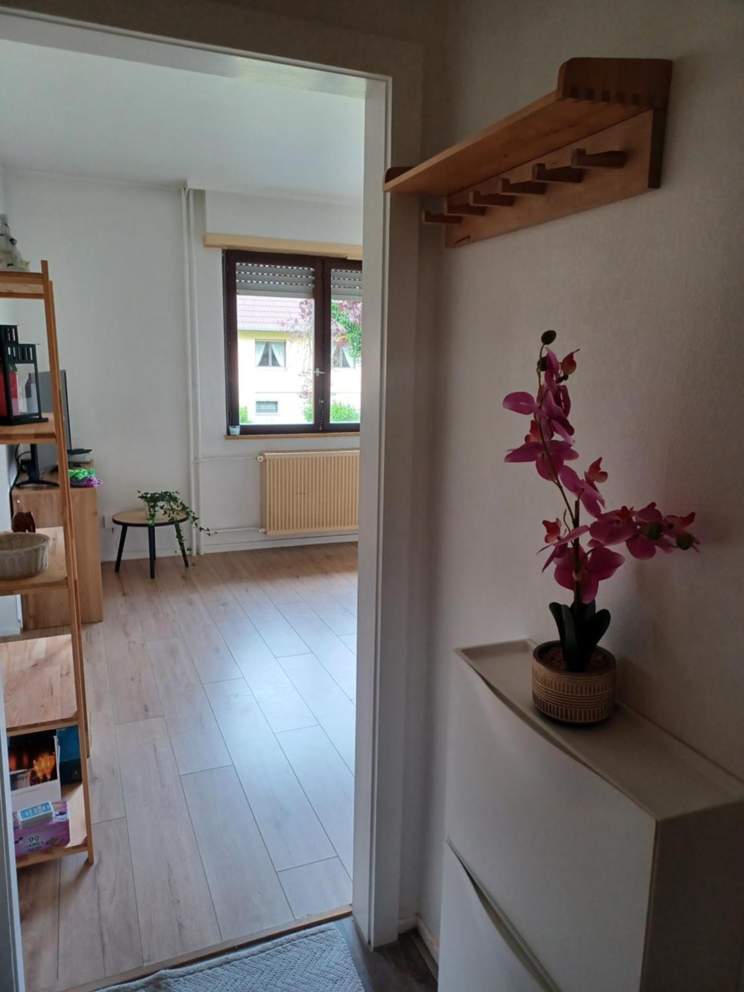 Studio Rdc Calme Avec Parking Ferme Pres Autoroute Et Tram C Miluza Zewnętrze zdjęcie